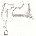 1830s-era-military-saddle.jpg