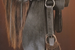 2.-Texas-saddle-1850s-Fleischer-Collection